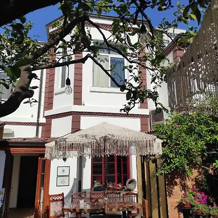 Auberge de jeunesse Oda Hostel Tirana